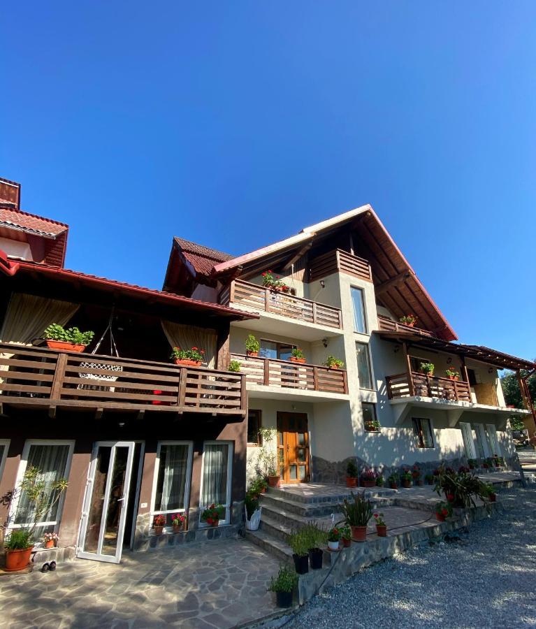 Vila Sorina Borşa Εξωτερικό φωτογραφία