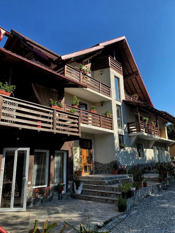 Vila Sorina Borşa Εξωτερικό φωτογραφία