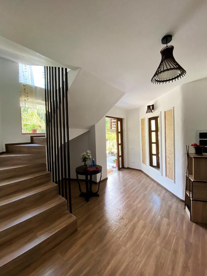 Vila Sorina Borşa Εξωτερικό φωτογραφία