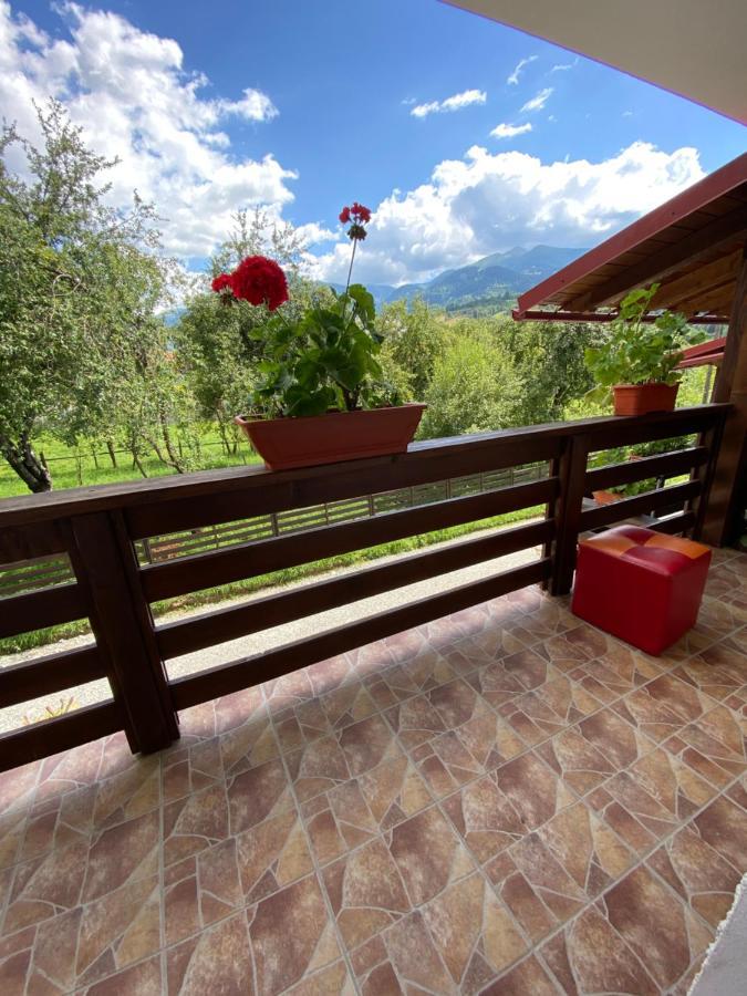 Vila Sorina Borşa Εξωτερικό φωτογραφία