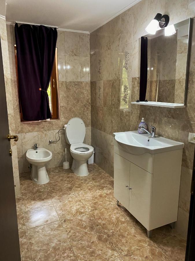 Vila Sorina Borşa Εξωτερικό φωτογραφία