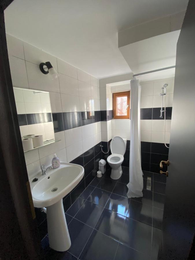 Vila Sorina Borşa Εξωτερικό φωτογραφία
