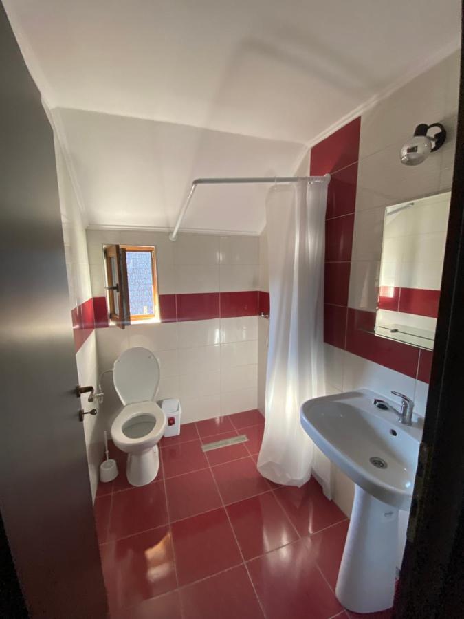 Vila Sorina Borşa Εξωτερικό φωτογραφία