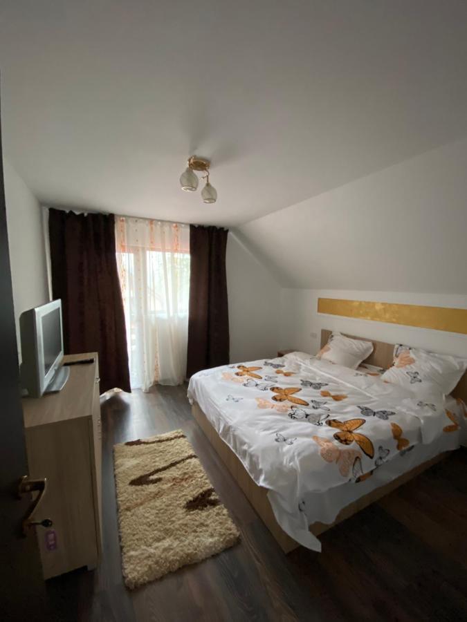 Vila Sorina Borşa Εξωτερικό φωτογραφία