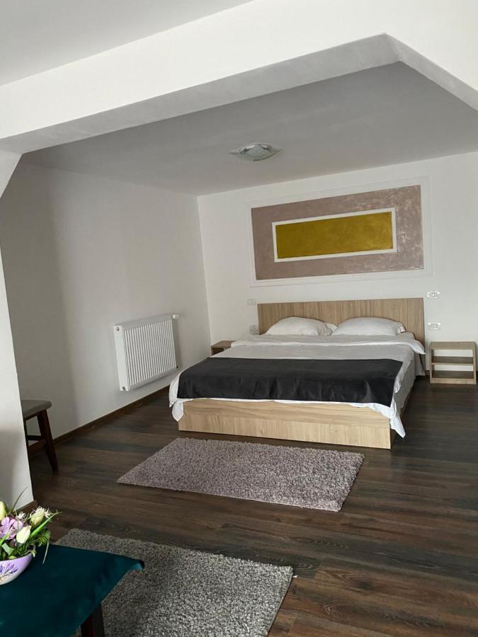 Vila Sorina Borşa Εξωτερικό φωτογραφία