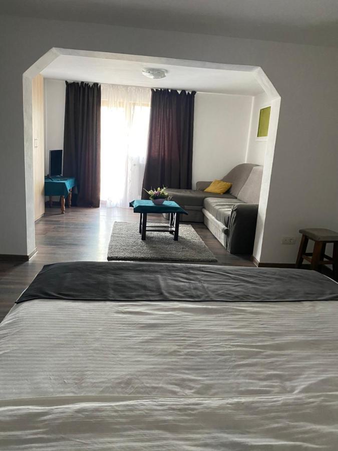 Vila Sorina Borşa Εξωτερικό φωτογραφία