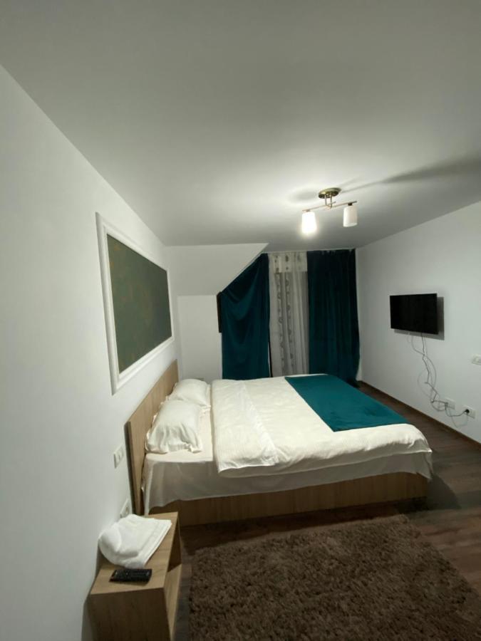 Vila Sorina Borşa Εξωτερικό φωτογραφία
