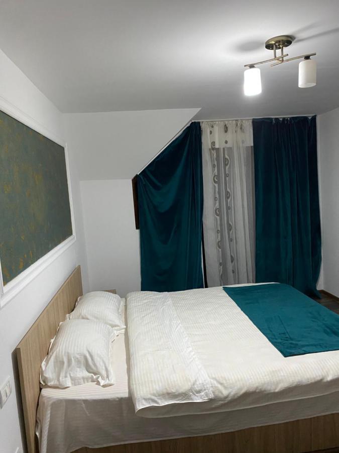 Vila Sorina Borşa Εξωτερικό φωτογραφία