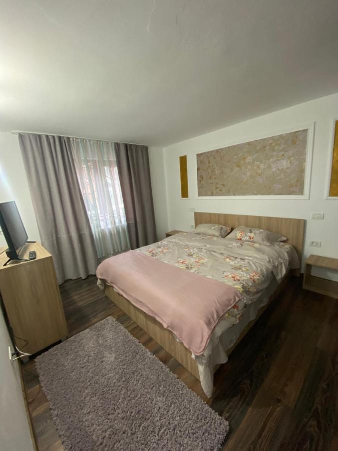 Vila Sorina Borşa Εξωτερικό φωτογραφία