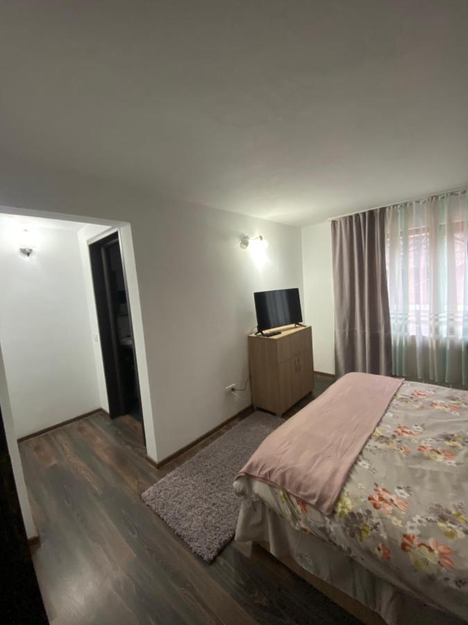 Vila Sorina Borşa Εξωτερικό φωτογραφία