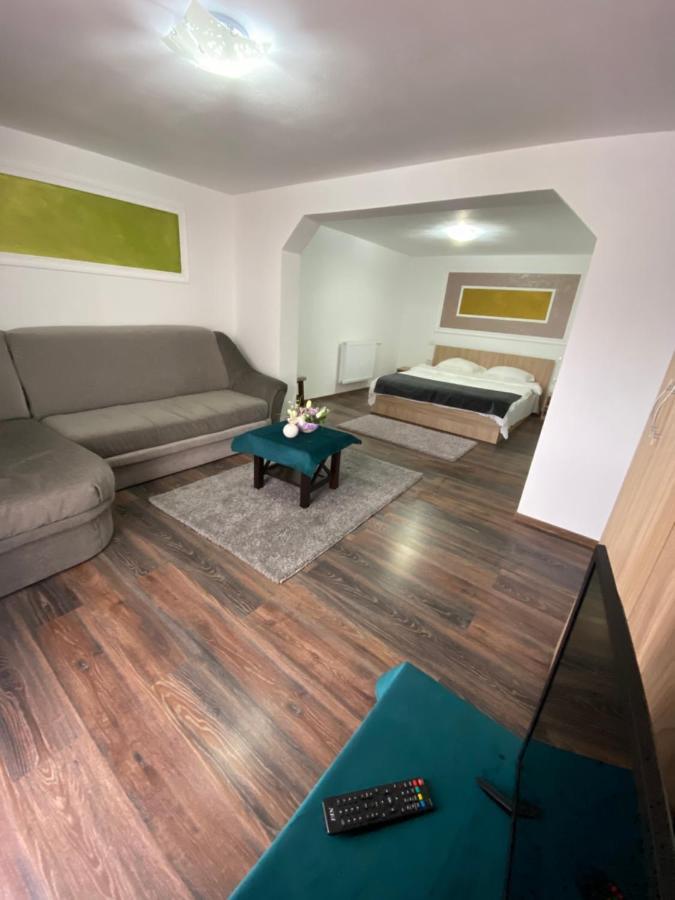 Vila Sorina Borşa Εξωτερικό φωτογραφία