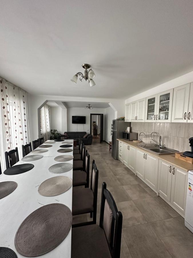 Vila Sorina Borşa Εξωτερικό φωτογραφία
