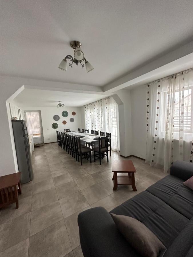 Vila Sorina Borşa Εξωτερικό φωτογραφία