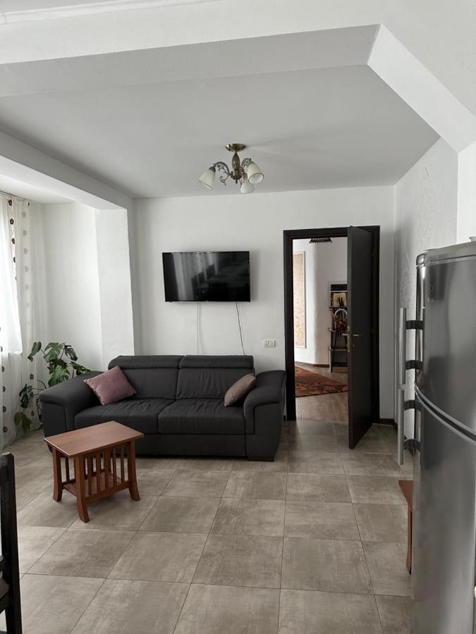 Vila Sorina Borşa Εξωτερικό φωτογραφία