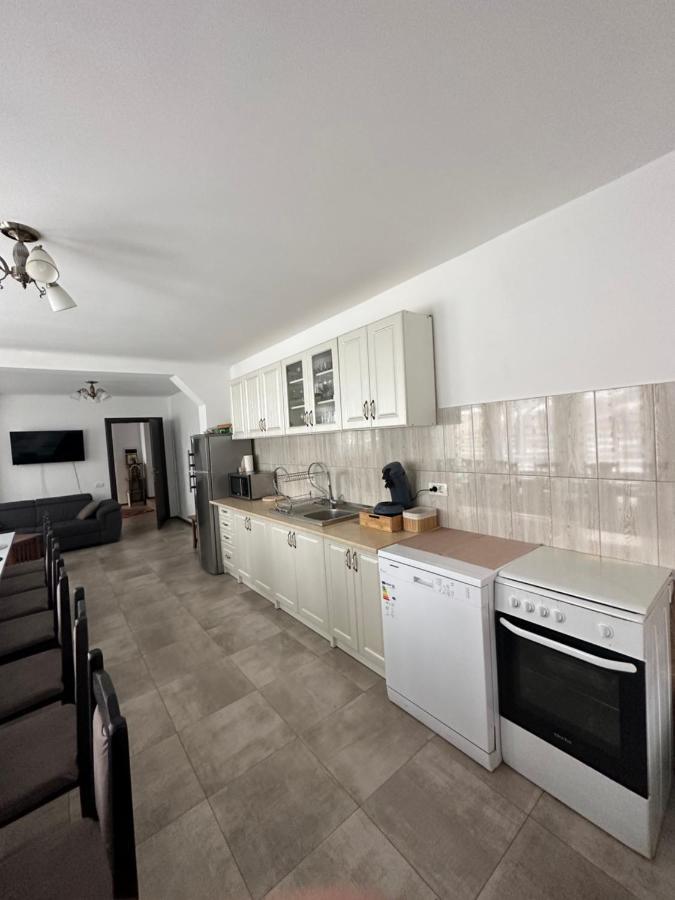 Vila Sorina Borşa Εξωτερικό φωτογραφία